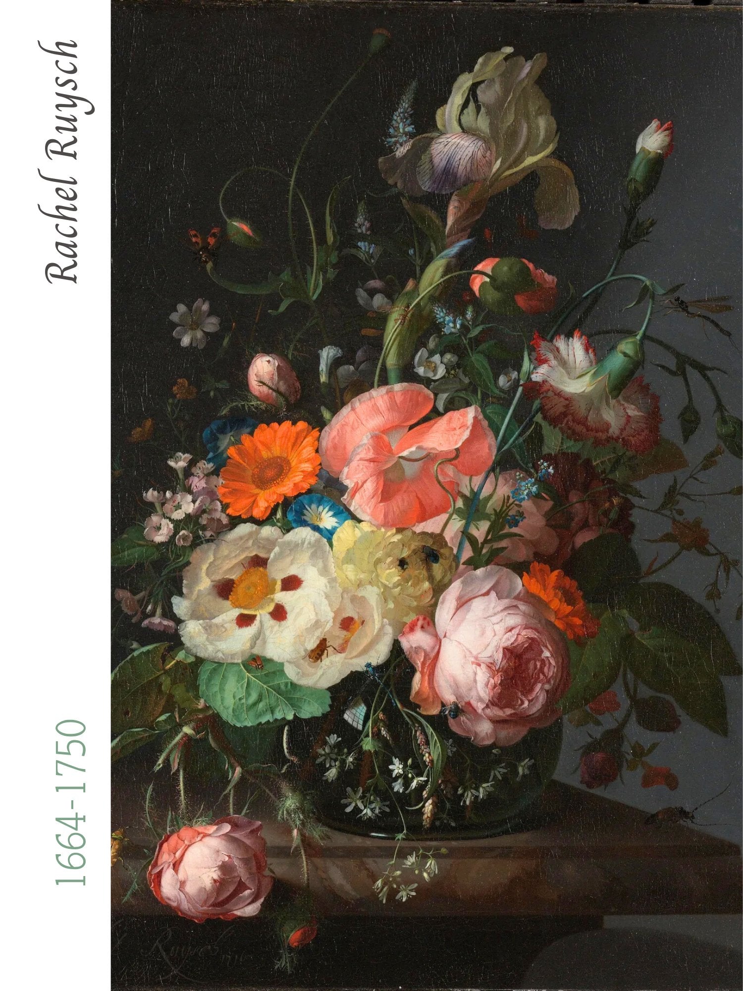 Rachel Ruysch (1664-1750)