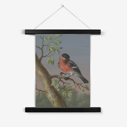 Bullfinch