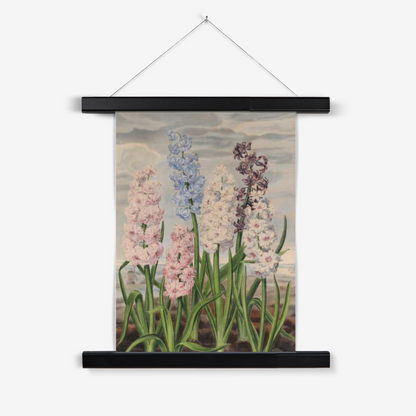 Hyacinths