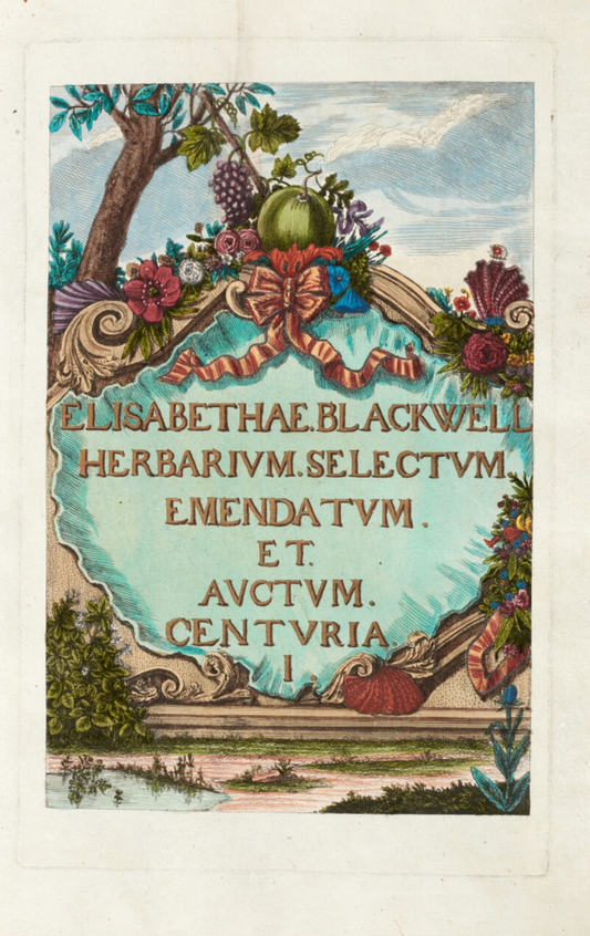 Herbarium