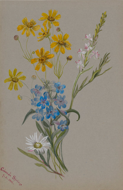 Group of Flowers